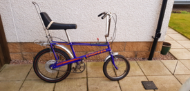 raleigh chopper gumtree